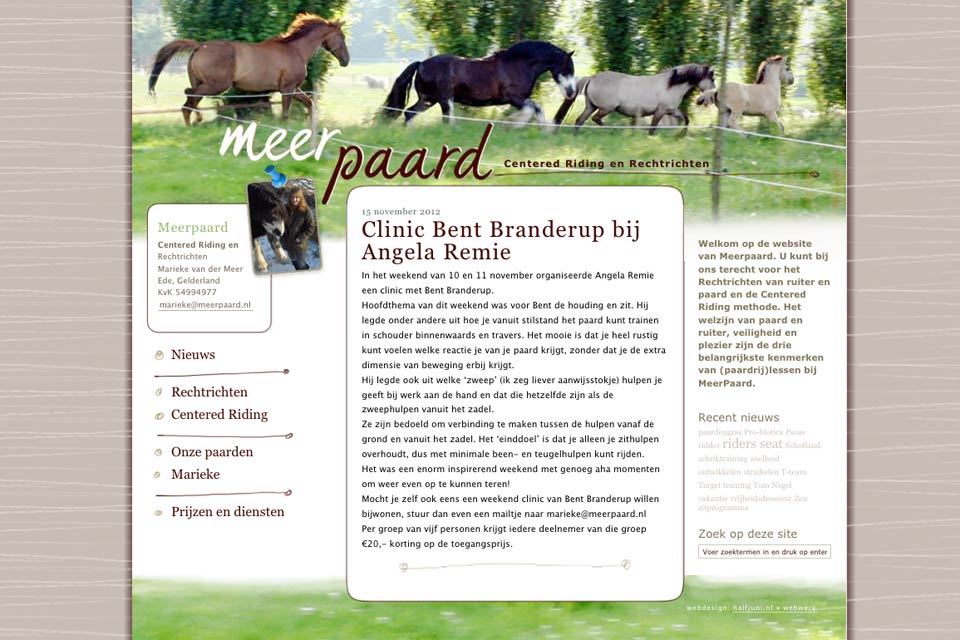 rechtrichten van ruiter en paard
