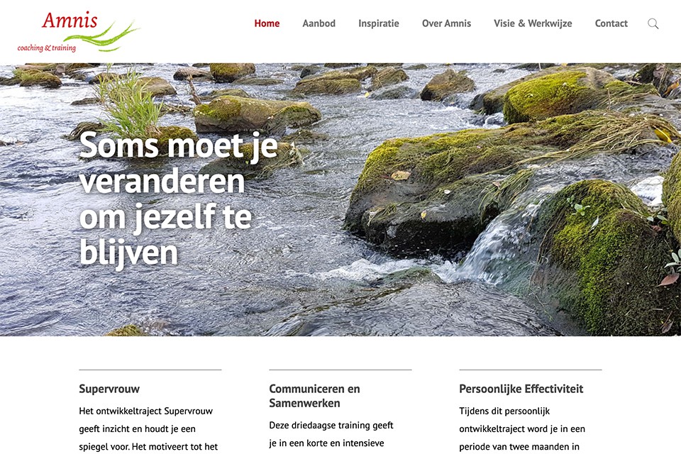 amnis coaching homepage website